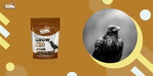 What are the advantages of using a crow attractant?