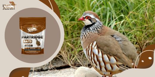 What are the benefits of using a partridge attractant?