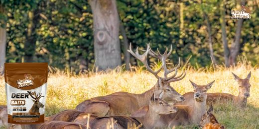 How to evaluate the quality of an attractant for deer and roe deer?