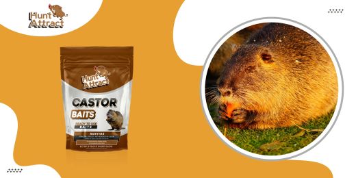 How do you know if a coypu attractant is working?